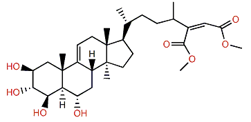 Topsensterol A